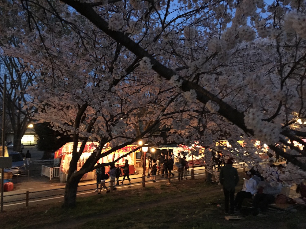 花見