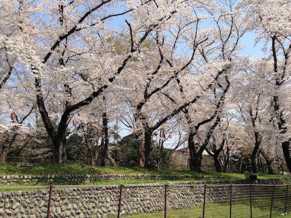家から花見