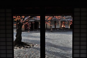 中庭