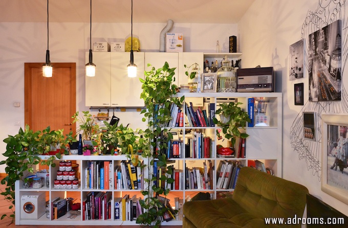 部屋がおしゃれになる観葉植物２５選 おすすめのインテリアグリーンをご紹介します 建築士が教える 新築の家を建てる人のための家づくりブログ