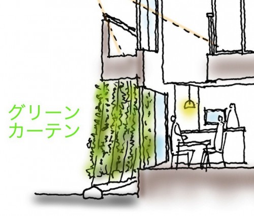 グリーンカーテン